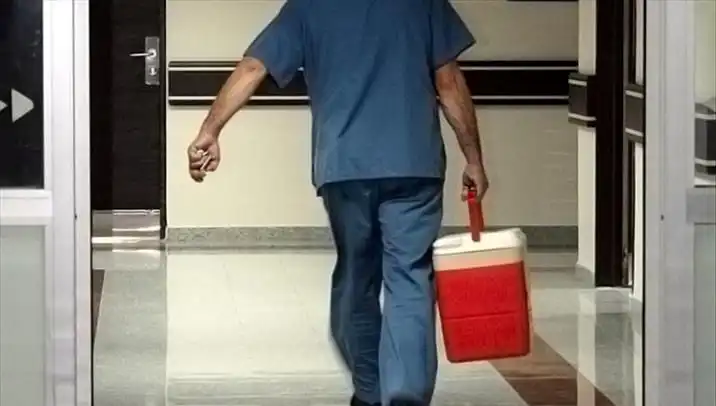Organ Bağışında Devrim: e-Devlet ve e-Nabız ile Kolaylık Başladı!