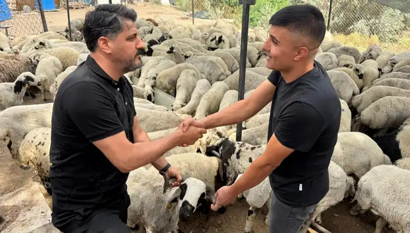 Kurbanlık Alacaklar Dikkat! Tuz ve Sumak İle Şişkinlik Manipülasyonu