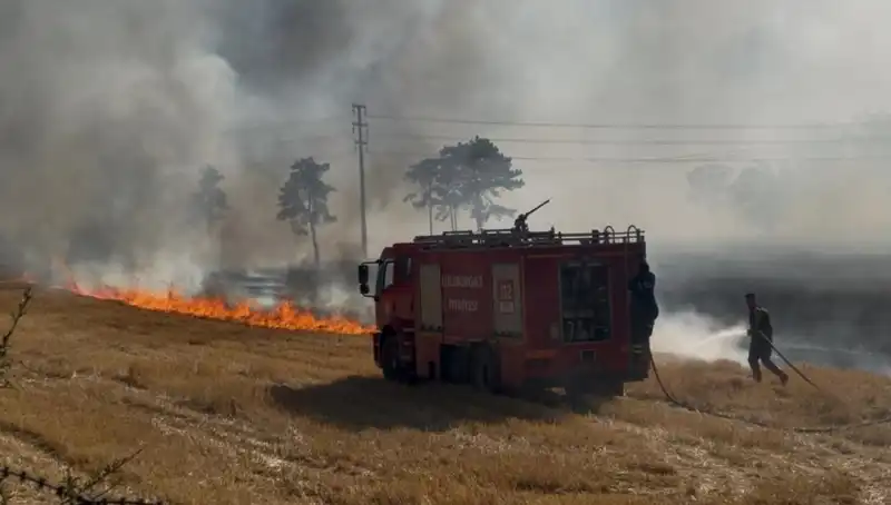 Kırklareli'nde Tüpraş Alanında Korkutan Anız Yangını: Panik Yaratan Gelişmeler