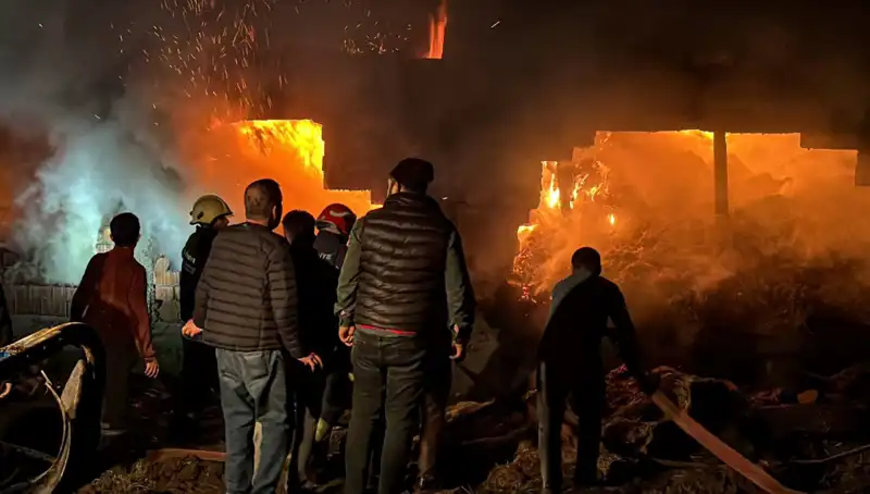 Bolu'da Dehşet Yaratan Ahır Yangını: Olayın Boyutu Gözler Önüne Serildi