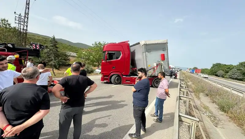 Seyir Halindeyken Arı Soktu: Trafik Kaza Yapıldı ve Şehir Kilitlendi