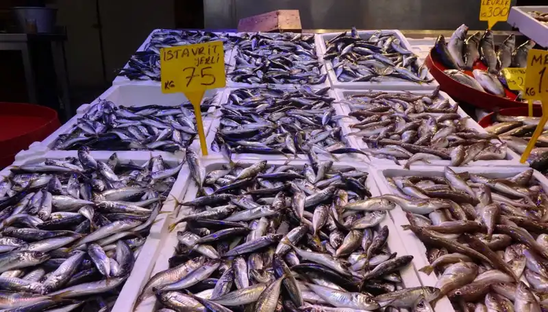 Balık Sezonu Kapanıyor: Son Hazırlıklar ve Tavsiyeler