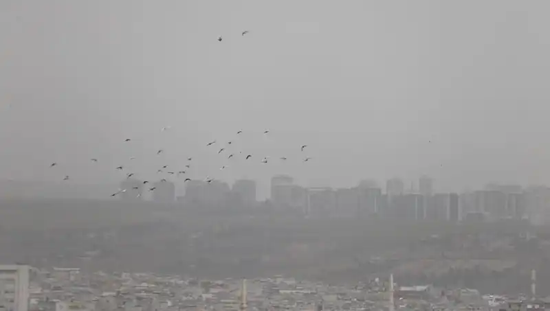 Şanlıurfa'da Toz Bulutu Alarmı: Şehir Görüş Mesafesini Kaybetti