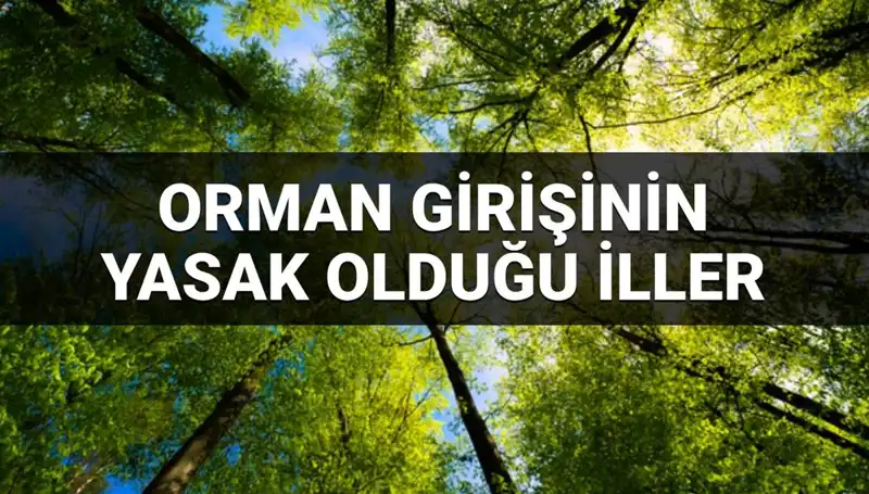 2025’te Ormana Girişin Yasaklandığı İllerin Listesi Açıklandı!
