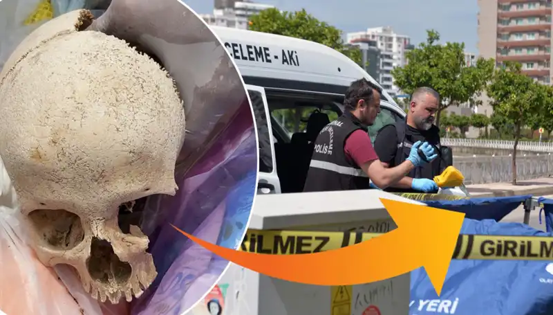 Sitenin Çöpünden Bulunan Kafatası, Gizemli Ölüme Işık Tutuyor!
