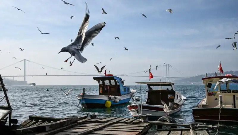 İstanbul’da Bahar Havası: Hava Durumu Beklentileri Aydınlatılıyor