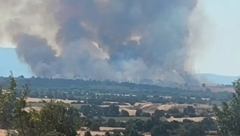 Edirne'yi Tehdit Eden Komşu Orman Yangını: Hava Kalitesi Alarm Veriyor