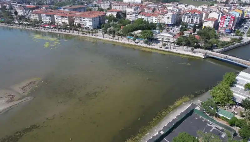 Marmara Denizi'nde Endişe Verici Gelişmeler: Ciddi Riskler Söz Konusu