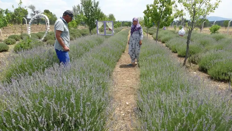 Hobi Olarak Başladılar, Şimdi Aile İşletmesi Oldular: Başarı Hikayesi