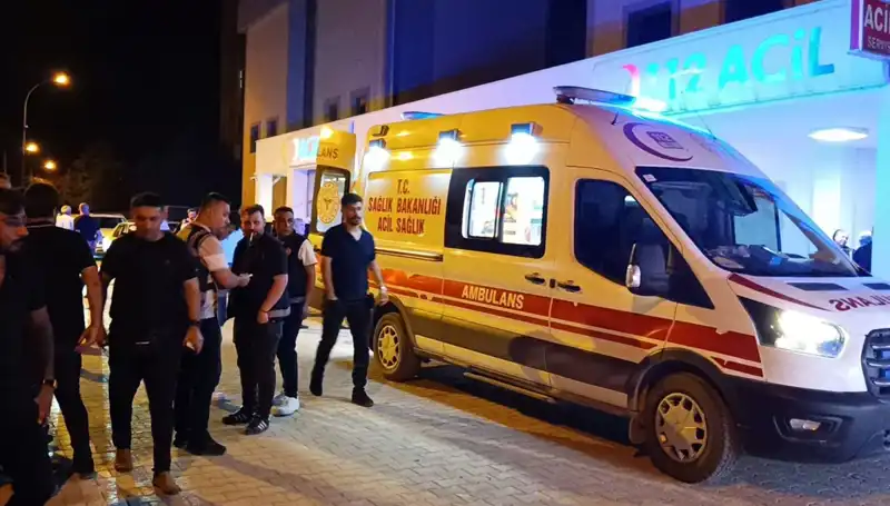 Kardeş Kavgasına Ara Vermek İsterken Hayatını Kaybetti