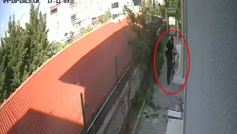Hayvan Sevgisine Gölge Düşüren Olay: Veteriner Tutuklandı!