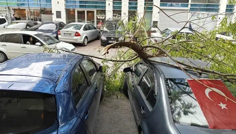 Kayseri’de Dalları Kıran Fırtına: Doğa Neleri Değiştiriyor?