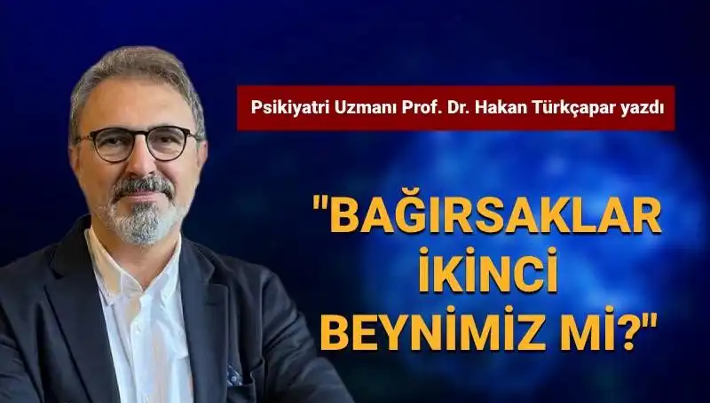 Bağışıklık Sistemi ve Bağırsak Sağlığı: İkili İlişki Nedir?