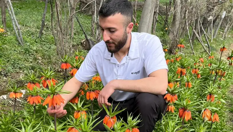 "Ağlayan Gelin: 20 Günü Kalan Çiçek İçin 244 Bin Lira Ceza!"