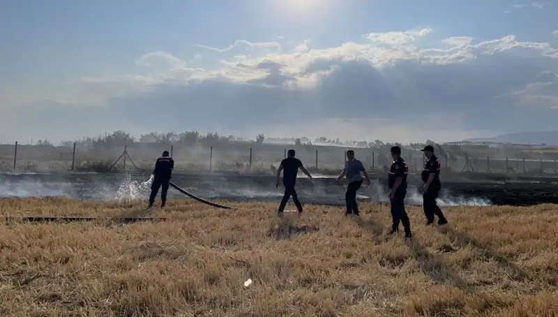 Merzifon’da Tarım Arazisi Yangınla Küle Döndü, Çiftçiler Tedirgin