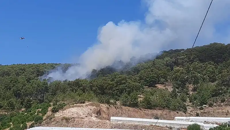Kumluca'da Orman Yangını: Son Durum ve Mücadele Çabaları