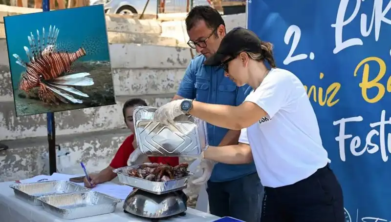 Antalya'da İstilacı Aslan Balığı Avlama Yarışması Başladı: Ekosistemi Korumak İçin Bir Adım