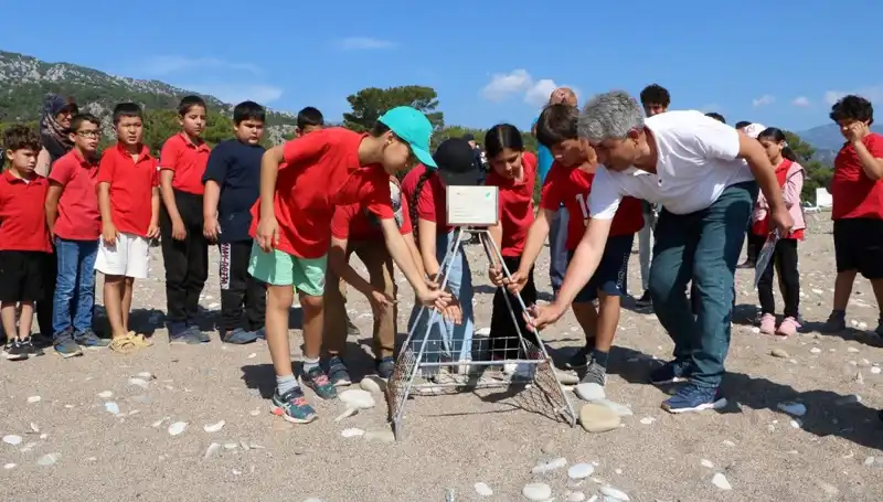 Kemer'de Caretta Caretta Koruma Yasakları İle Deniz Hayatı Güvende