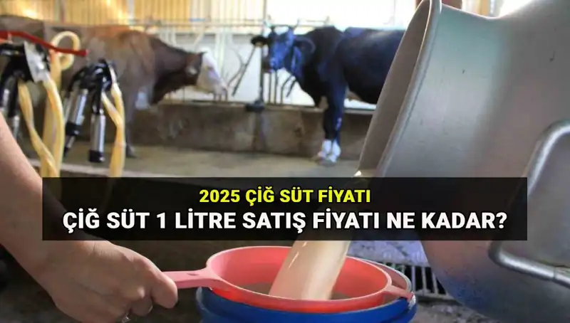 2025'te Çiğ Süt Fiyatları: Ulusal Süt Konseyi'nden Son Veriler