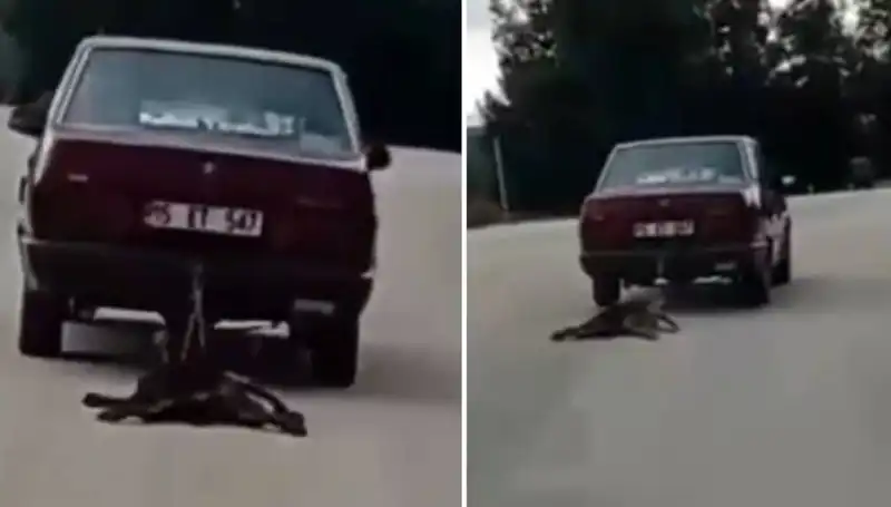 Sürüklenen Köpek Siber Alemi Sarsıyor: Otomobil Skandalı