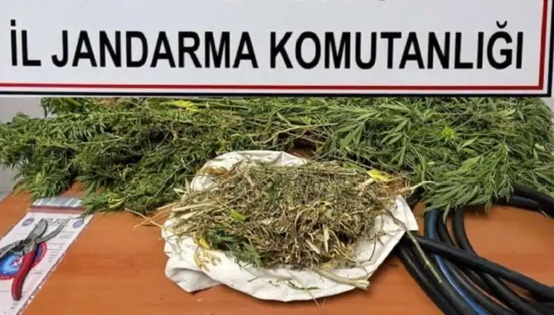 Niğde'de Uyuşturucu Operasyonunda Şok Gelişmeler ve Gözaltılar