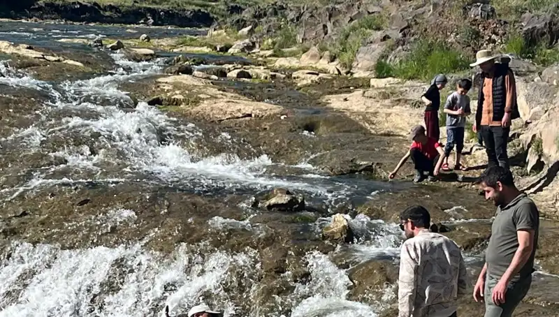 İnci Kefali Göçü: Doğa Harikası ve Turistik Bir Etkinlik