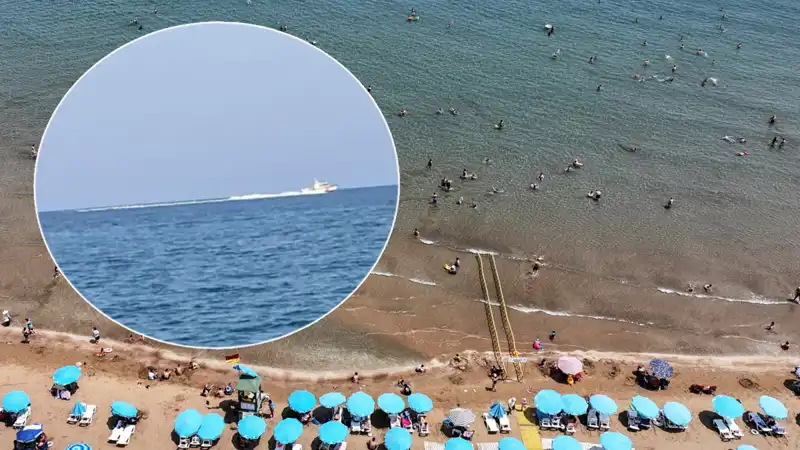 Plajda Köpek Balığı Panic: Sahil Güvenliğini Harekete Geçirdi, Gerçek Farklıydı!