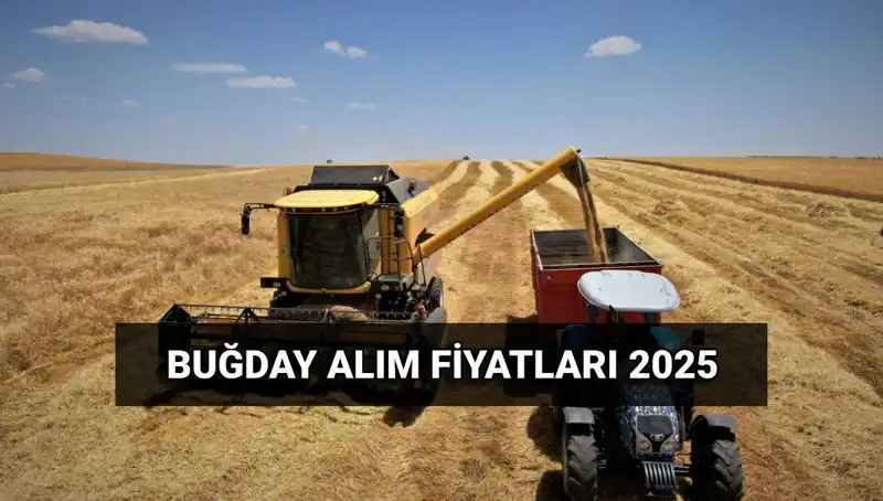 Hububat Alım Ücretleri Ne Zaman Yatacak? 2025 Buğday Fiyatları Açıklandı!