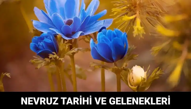 Nevruz Bayramı: Geleneksel Kutlamalar ve Anlamı Hakkında Her Şey
