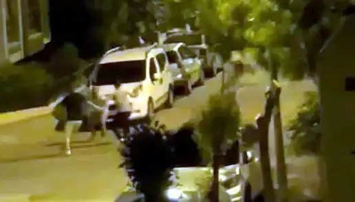 Avcılar’da Üç Kişinin Saldırdığı Adamı Çevredekiler Kurtardı: Şok Edici Olay!