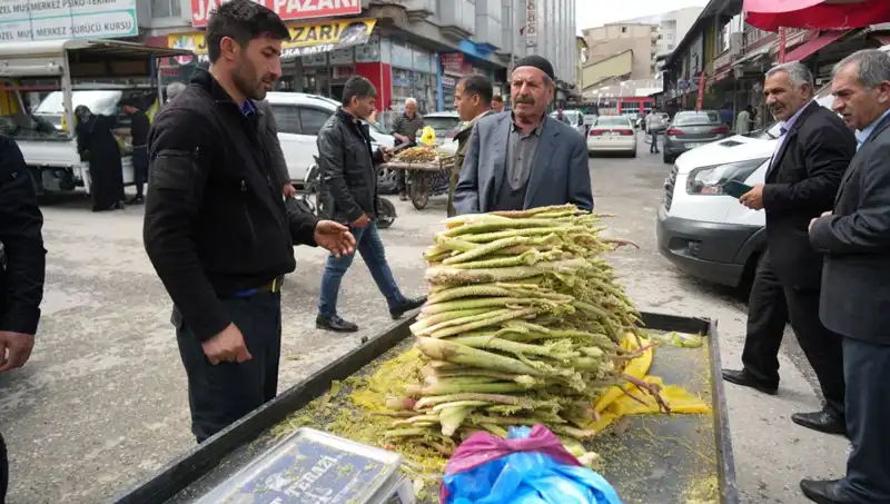 Dağlık Alanların Şifası: Şekerin Kanser ve Mide Hastalıklarındaki Etkisi