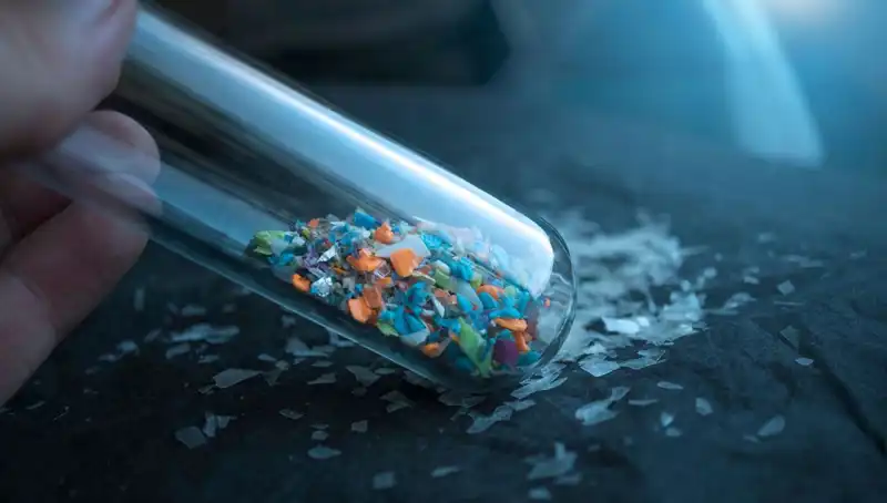 Mikroplastiklerin İnsan Beynine Sızması: Sağlık Üzerinde Sorunlar Yaratabilir mi?