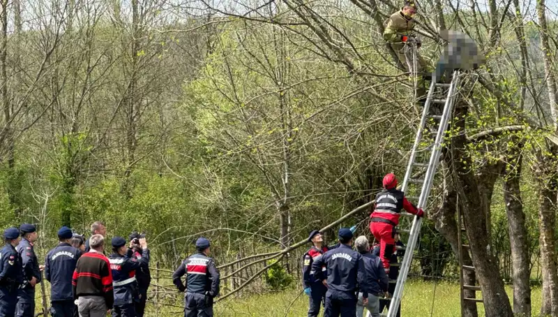 Ağaç Budarken Kalp Krizi Geçiren Adamın Dramı: Hayatını Kaybetti