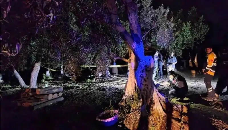 Çiftlikteki Baltalı Vahşet: Bir Tutuklama ve Gizemli Detaylar