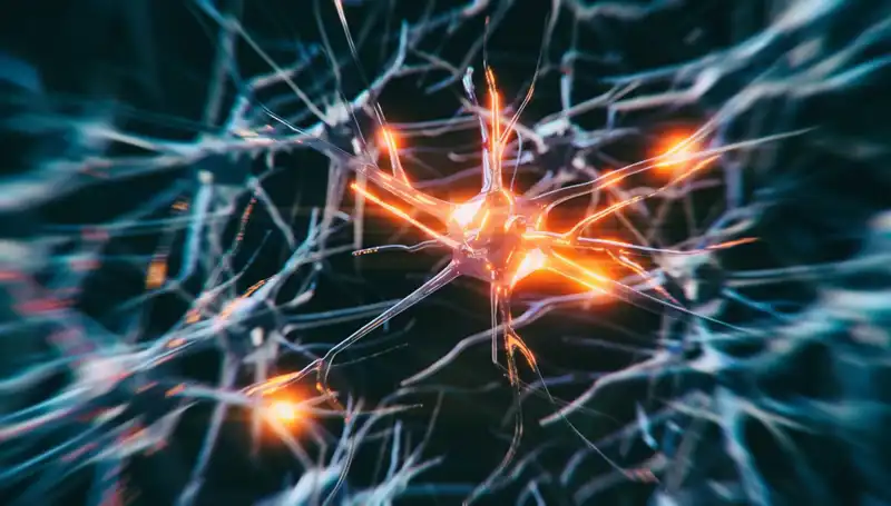Alzheimer Vakalarındaki Artışın Arkasında Yatan Gizemler ve Çözümler