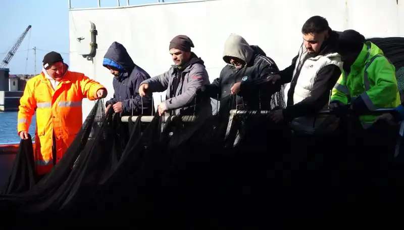 Denizlerde Hamsi Avı Sonuçsuz Kaldı, Balıkçılar Şaşkın Halde
