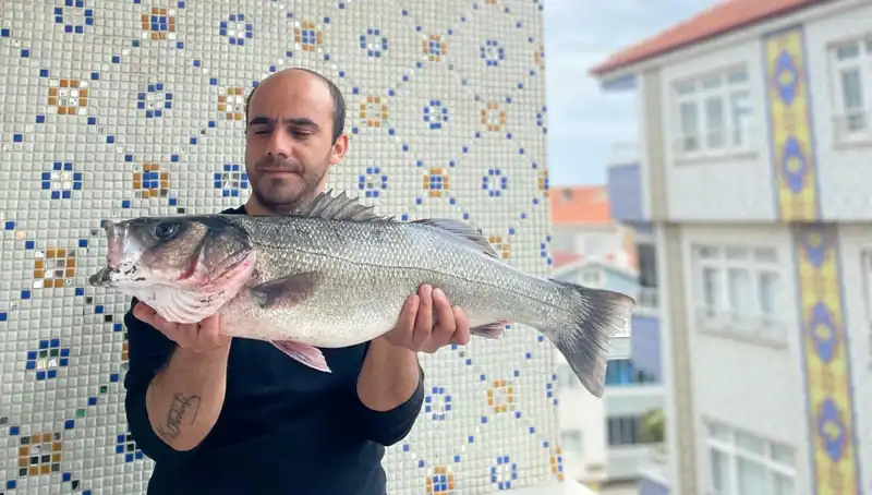 7.5 Kiloluk dev levrek avında büyük sevinç: Rekor kırıldı!
