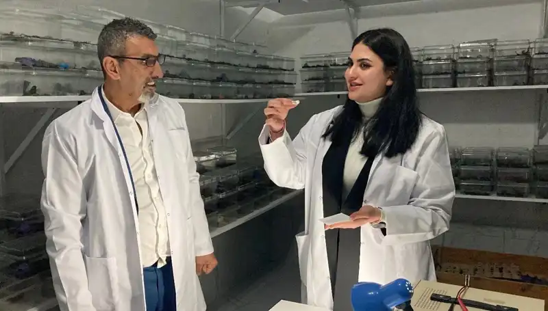 Akrep Zehrini Şekere Damlatıp Yedikleri Gelenek: Acıların Tatlı Yolculuğu