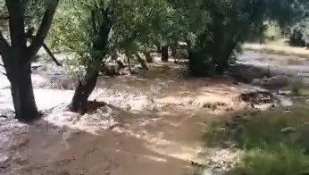 Mersin'de Sel Felaketi: Sağanak Yağışların Etkileri ve Yaraları