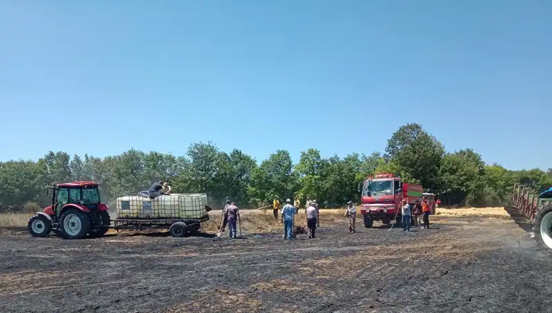 Buğday Tarlasındaki Yangın, 10 Dönümlük Alanı Kül Etti: Çiftçiler Tedirgin