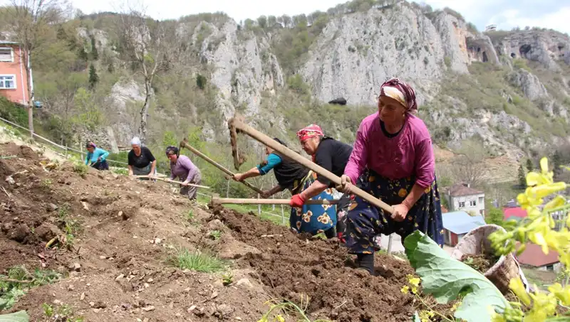 Zorlu Mesaiye Start Verildi: Sırtında Sepet, Elinde Kazma ile İşe Başladılar