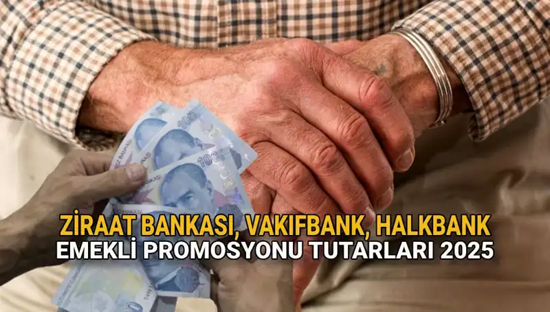 2025 Yılında Kamu Bankalarından Emeklilere Sunulan Promosyon Fırsatları