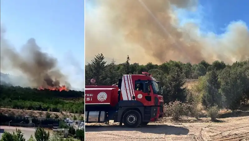 Gebze'de Korkutan Orman Yangını: Sebepleri ve Alınan Önlemler
