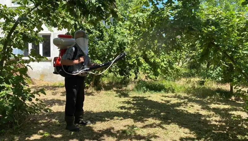 Çiftçinin Umudunu Yeşerten Kükürt ve Samuray Arısının Sırrı Nedir?