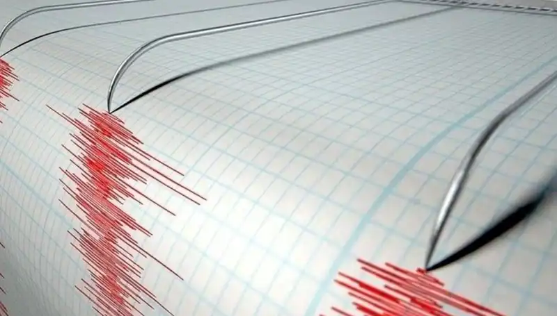 Osmaniye'de 3.2 Büyüklüğünde Deprem: İlgili Kurumlar Hızla Hareket Geçti