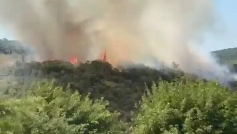 İstanbul'da Büyük Orman Yangını: Vatandaşlar Tahliye Edildi!