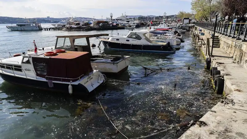 İstanbul'da Müsilaj Alarmı: Denizdeki Kabus Yeniden Başladı