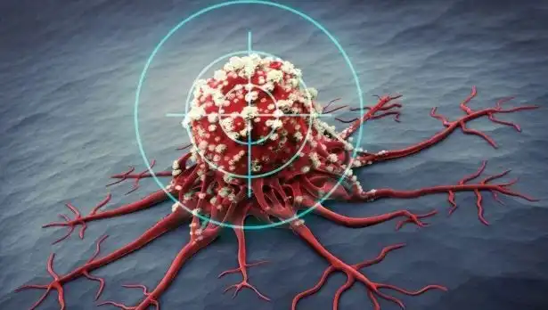 Prostat Kanseriyle Mücadelede Etkili 6 Besin: Bilim İnsanları Açıkladı