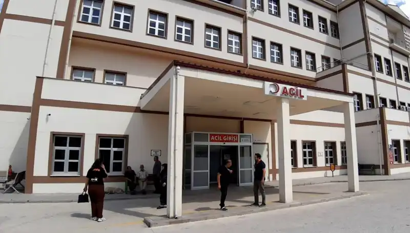Bolu'da Tartışmalara Neden Olan Ayı Avı Kararı Açıklandı