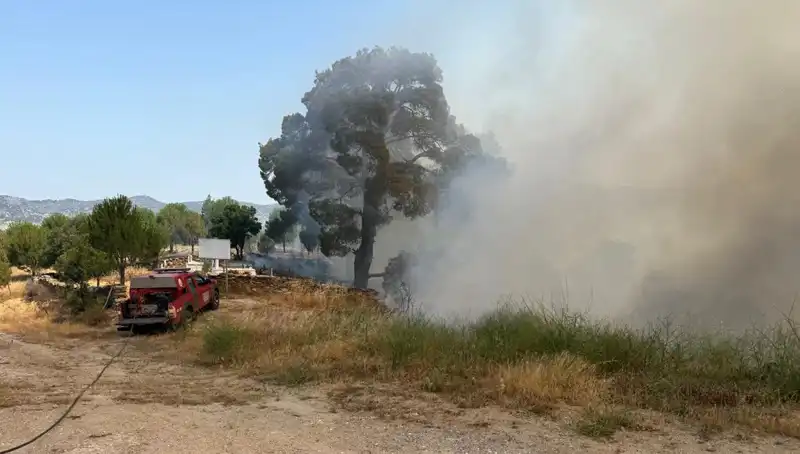 Muğla’da Şok Edici Orman Yangını: Doğa ve Hayat Tehlikede!